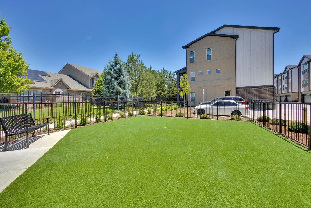 Pet park with open space and townhomes in background
